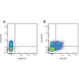 Flow Cytometry - Anti-CD11R3 Antibody [2F4/11] (FITC) (A279211) - Antibodies.com