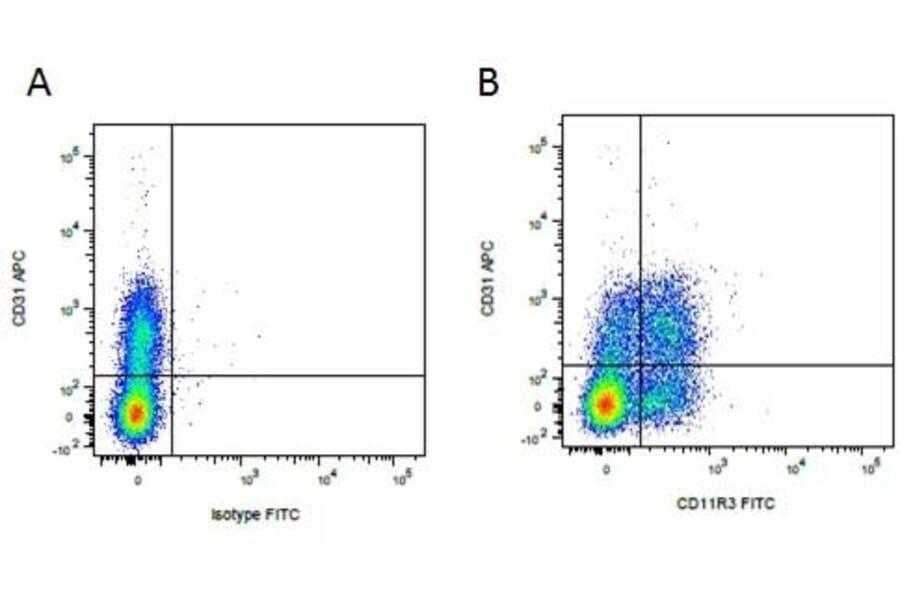 Flow Cytometry - Anti-CD11R3 Antibody [2F4/11] (FITC) (A279211) - Antibodies.com