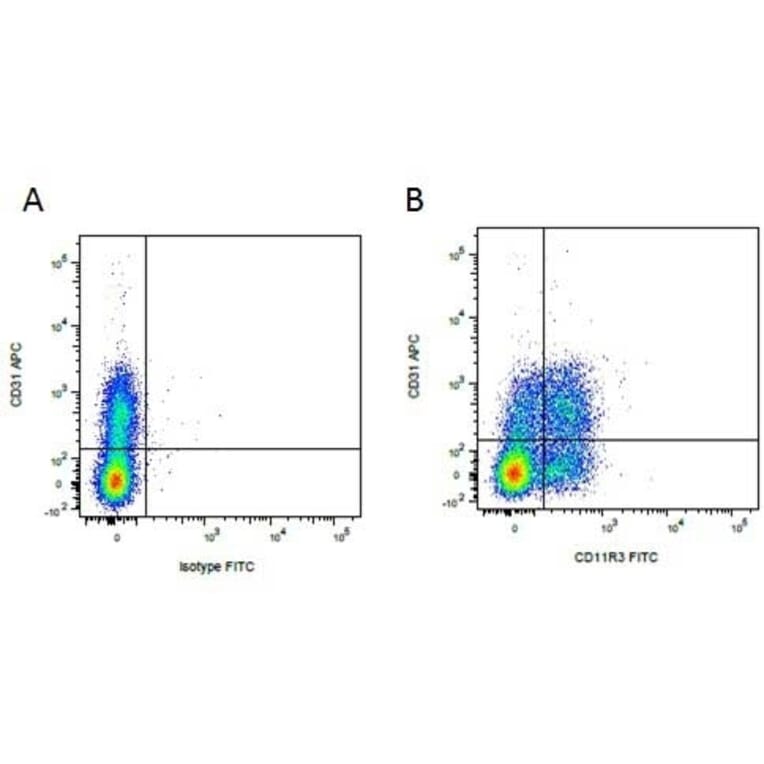 Flow Cytometry - Anti-CD11R3 Antibody [2F4/11] (FITC) (A279211) - Antibodies.com