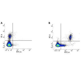 Flow Cytometry - Anti-CD20 Antibody [2H7] (FITC) (A279240) - Antibodies.com