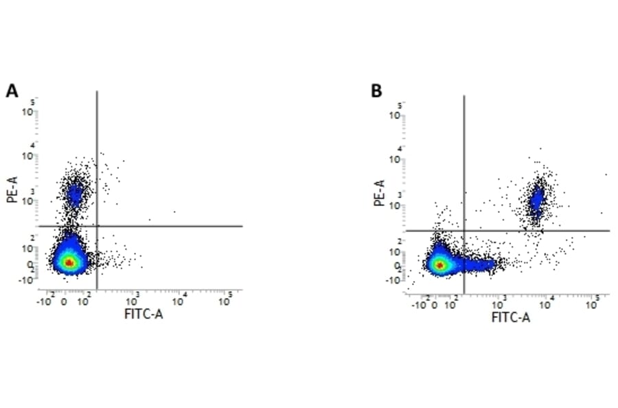 Flow Cytometry - Anti-CD20 Antibody [2H7] (FITC) (A279240) - Antibodies.com
