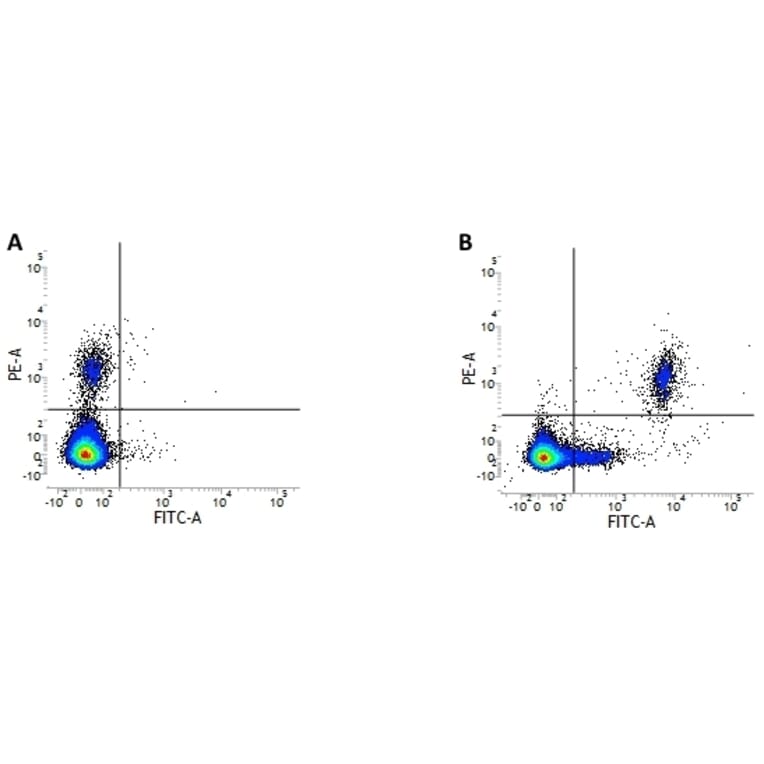 Flow Cytometry - Anti-CD20 Antibody [2H7] (FITC) (A279240) - Antibodies.com