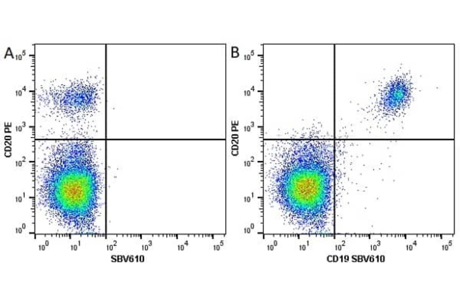 Flow Cytometry - Anti-CD20 Antibody [2H7] (PE) (A279241) - Antibodies.com