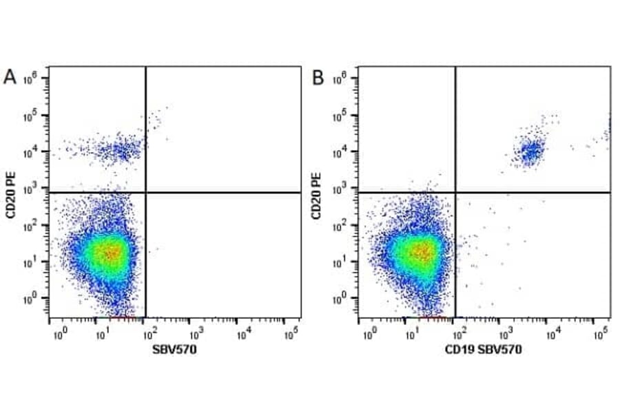 Flow Cytometry - Anti-CD20 Antibody [2H7] (PE) (A279241) - Antibodies.com