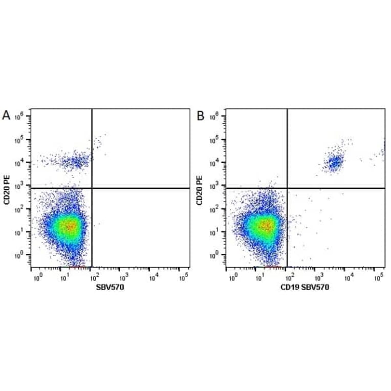 Flow Cytometry - Anti-CD20 Antibody [2H7] (PE) (A279241) - Antibodies.com