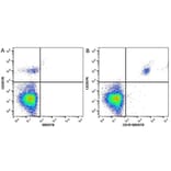 Flow Cytometry - Anti-CD20 Antibody [2H7] (PE) (A279241) - Antibodies.com