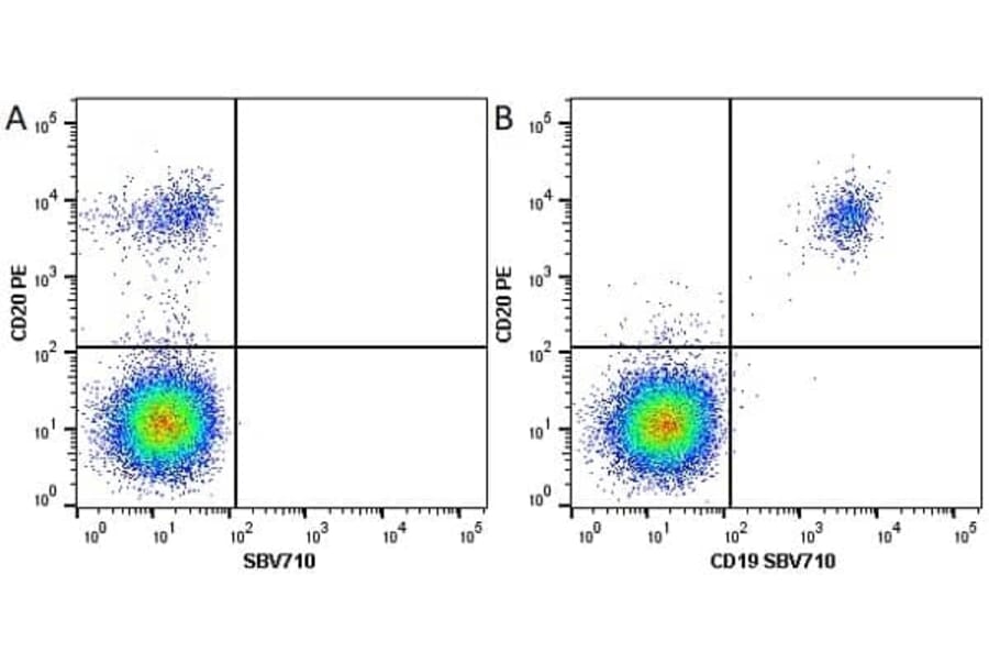 Flow Cytometry - Anti-CD20 Antibody [2H7] (PE) (A279241) - Antibodies.com
