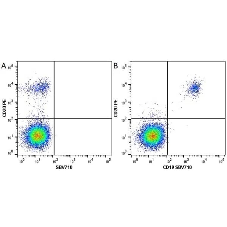 Flow Cytometry - Anti-CD20 Antibody [2H7] (PE) (A279241) - Antibodies.com