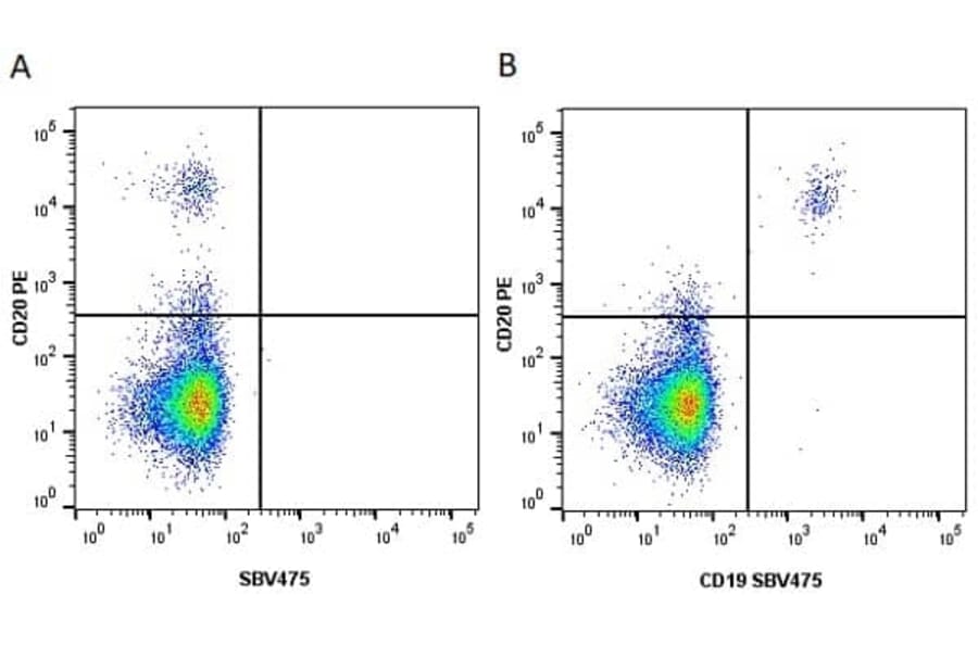 Flow Cytometry - Anti-CD20 Antibody [2H7] (PE) (A279241) - Antibodies.com