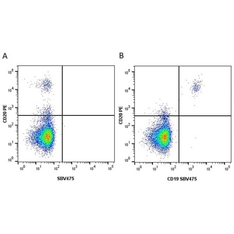Flow Cytometry - Anti-CD20 Antibody [2H7] (PE) (A279241) - Antibodies.com