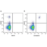 Flow Cytometry - Anti-CD20 Antibody [2H7] (PE) (A279241) - Antibodies.com