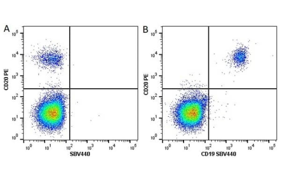 Flow Cytometry - Anti-CD20 Antibody [2H7] (PE) (A279241) - Antibodies.com