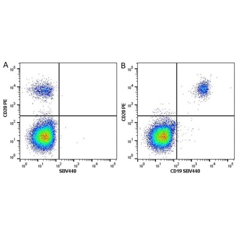 Flow Cytometry - Anti-CD20 Antibody [2H7] (PE) (A279241) - Antibodies.com