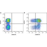 Flow Cytometry - Anti-CD45RC Antibody [3a56] (PE) (A279274) - Antibodies.com