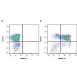 Flow Cytometry - Anti-CD45RC Antibody [3a56] (A279275) - Antibodies.com