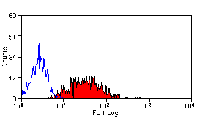 Flow Cytometry - Anti-CD83 Antibody [3D11] (FITC) (A279292) - Antibodies.com