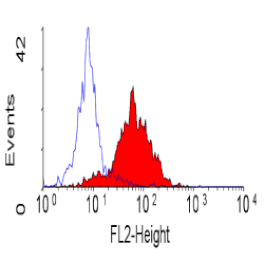 Flow Cytometry - Anti-Integrin alpha 6 Antibody [450-30A] (PE) (A279323) - Antibodies.com