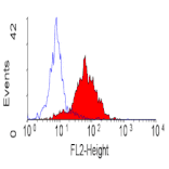 Flow Cytometry - Anti-Integrin alpha 6 Antibody [450-30A] (PE) (A279323) - Antibodies.com