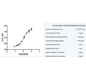 ELISA - Anti-beta Actin Antibody [4C2] (A279363) - Antibodies.com