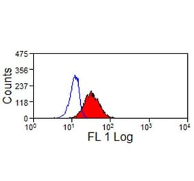 Immunohistochemistry - Anti-LAMP1 Antibody [4E9/11] (A279374) - Antibodies.com