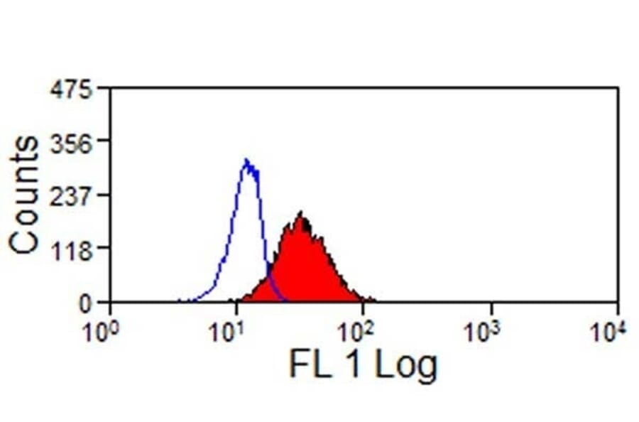 Immunohistochemistry - Anti-LAMP1 Antibody [4E9/11] (A279374) - Antibodies.com