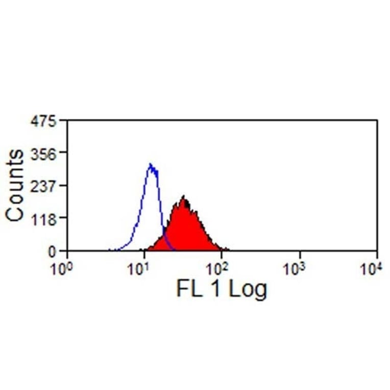 Immunohistochemistry - Anti-LAMP1 Antibody [4E9/11] (A279374) - Antibodies.com
