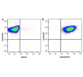 Flow Cytometry - Anti-CD11b Antibody [5C6] (FITC) (A279424) - Antibodies.com