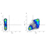 Flow Cytometry - Anti-CD11b Antibody [5C6] (PE) (A279426) - Antibodies.com