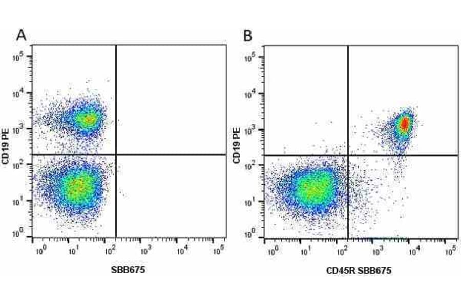 Flow Cytometry - Anti-CD19 Antibody [6D5] (PE) (A279480) - Antibodies.com