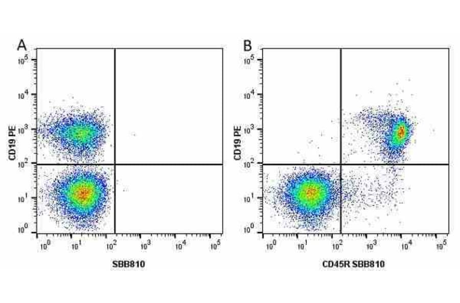 Flow Cytometry - Anti-CD19 Antibody [6D5] (PE) (A279480) - Antibodies.com