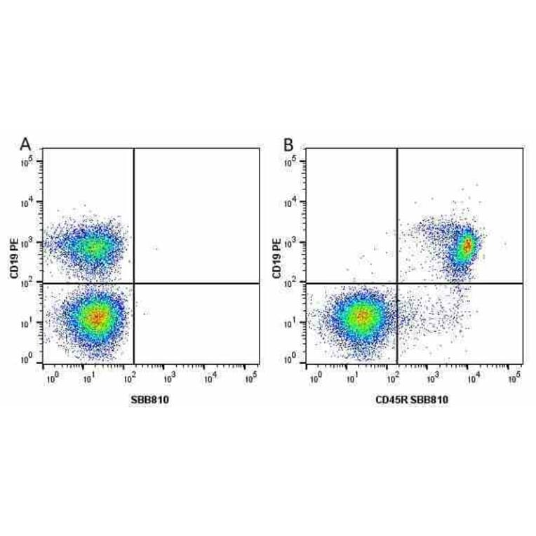 Flow Cytometry - Anti-CD19 Antibody [6D5] (PE) (A279480) - Antibodies.com