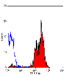 Flow Cytometry - Anti-CD46 Antibody [6D8/8] (A279485) - Antibodies.com