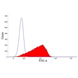 Flow Cytometry - Anti-MHC Class I Monomorphic Antibody [73-2] (A279505) - Antibodies.com