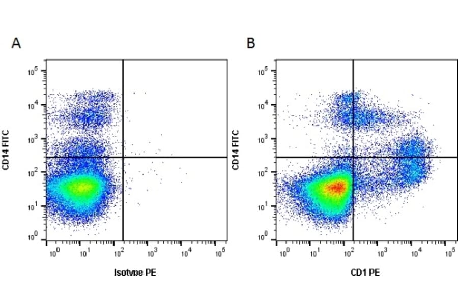 Flow Cytometry - Anti-CD1 Antibody [76-7-4] (PE) (A279512) - Antibodies.com