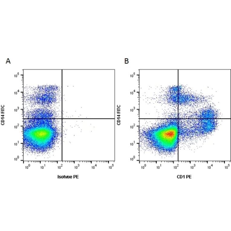 Flow Cytometry - Anti-CD1 Antibody [76-7-4] (PE) (A279512) - Antibodies.com
