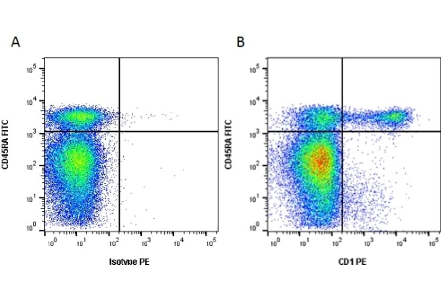Flow Cytometry - Anti-CD1 Antibody [76-7-4] (PE) (A279512) - Antibodies.com