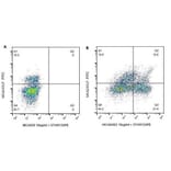 Flow Cytometry - Anti-CD8A Antibody [7C2B] (A279517) - Antibodies.com