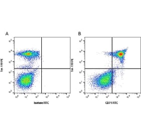 Flow Cytometry - Anti-Transferrin Receptor Antibody [8D3] (FITC) (A279543) - Antibodies.com