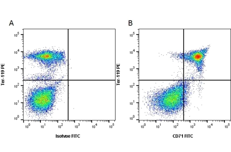 Flow Cytometry - Anti-Transferrin Receptor Antibody [8D3] (FITC) (A279543) - Antibodies.com