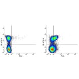 Flow Cytometry - Anti-SLAM / CD150 Antibody [9D1] (PE) (A279567) - Antibodies.com