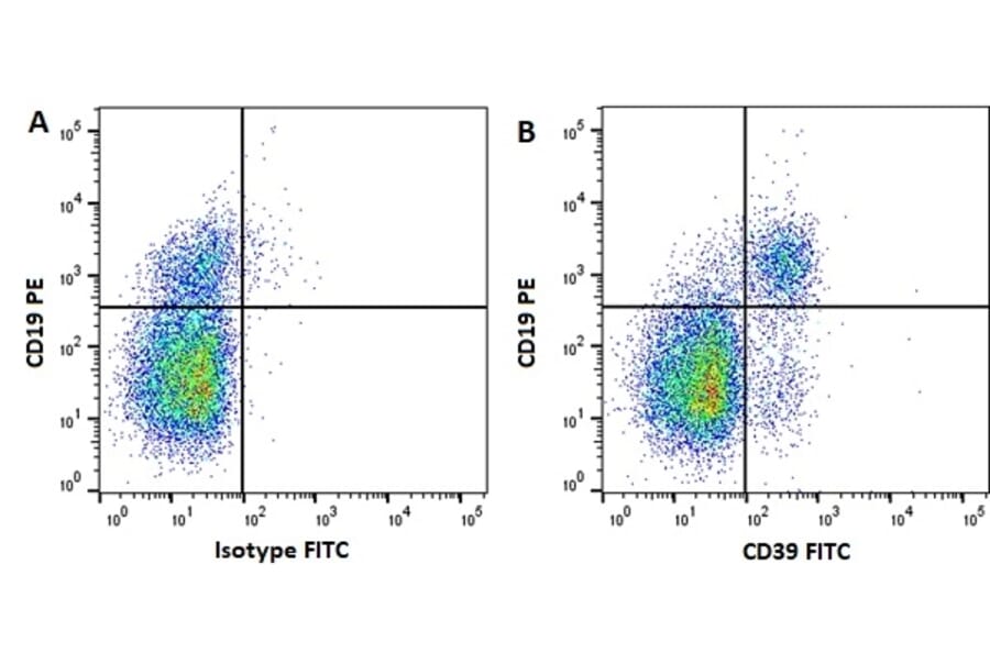 Flow Cytometry - Anti-CD39 Antibody [A1] (FITC) (A279586) - Antibodies.com