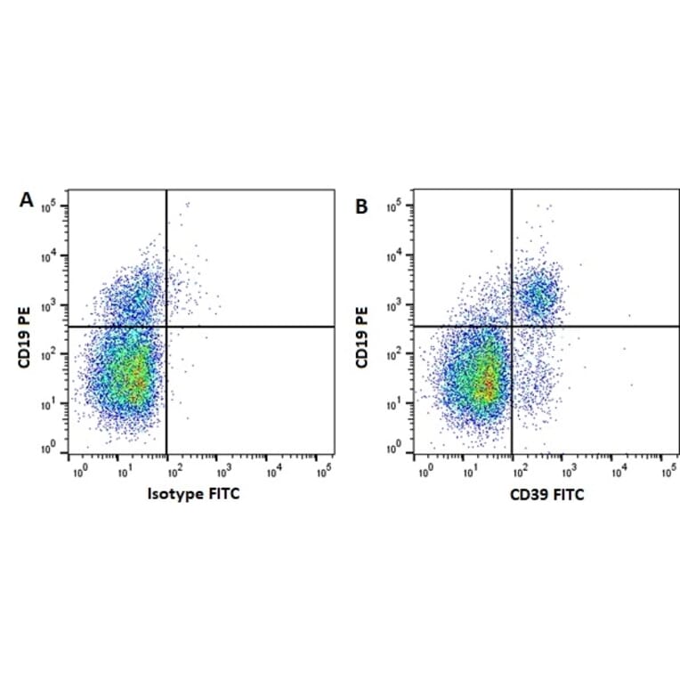 Flow Cytometry - Anti-CD39 Antibody [A1] (FITC) (A279586) - Antibodies.com