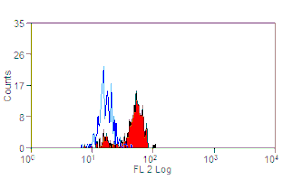 Flow Cytometry - Anti-EMR1 Antibody [A10] (PE) (A279592) - Antibodies.com