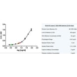 ELISA - Anti-Cytokeratin 19 Antibody [A53-B/A2] (A279607) - Antibodies.com