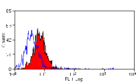 Flow Cytometry - Anti-CD63 Antibody [AD1] (FITC) (A279634) - Antibodies.com