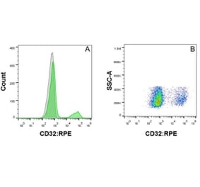 Flow Cytometry - Anti-CD32 Antibody [AT10] (PE) (A279685) - Antibodies.com