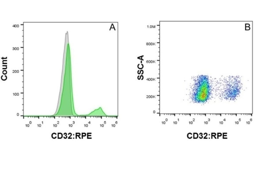 Flow Cytometry - Anti-CD32 Antibody [AT10] (PE) (A279685) - Antibodies.com
