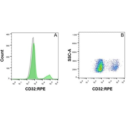 Flow Cytometry - Anti-CD32 Antibody [AT10] (PE) (A279685) - Antibodies.com