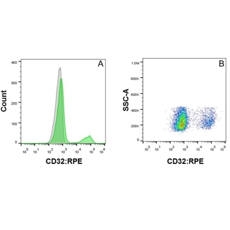 Flow Cytometry - Anti-CD32 Antibody [AT10] (PE) (A279685) - Antibodies.com