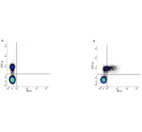Flow Cytometry - Anti-CD79b Antibody [AT105-1] (PE) (A279691) - Antibodies.com